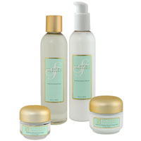 Special! Dead Sea Mineral Basics Package